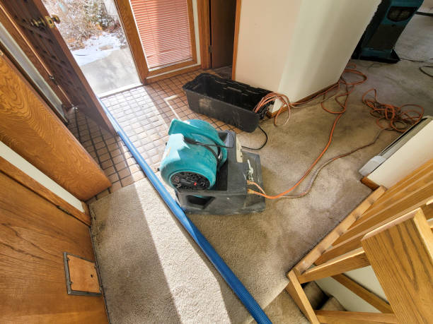 Trusted Minneapolis, MN Water damage restoration Experts