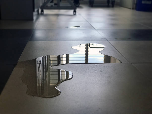 24/7 water damage repair in Minneapolis, MN