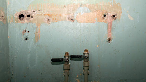  Minneapolis, MN Water damage restoration Pros