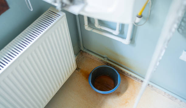 Best Flood damage cleanup  in Minneapolis, MN