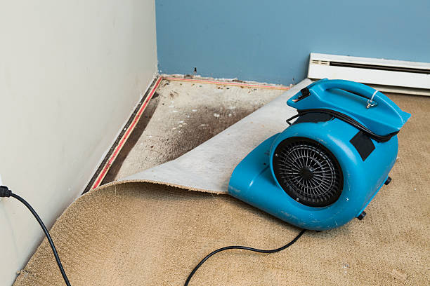 Best Water damage restoration near me  in Minneapolis, MN